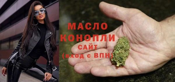 молекула духа Осташков