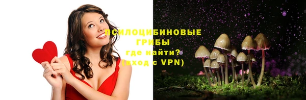 молекула духа Осташков