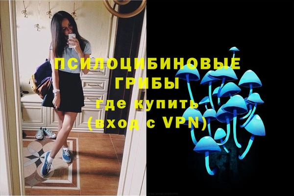 марки nbome Нязепетровск