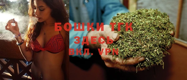 молекула духа Осташков
