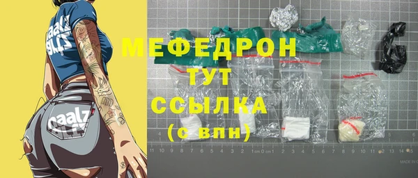 молекула духа Осташков