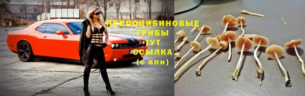 молекула духа Осташков